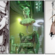 Image for article titled Terminator, The Queen Borg In The Shell Chronicles